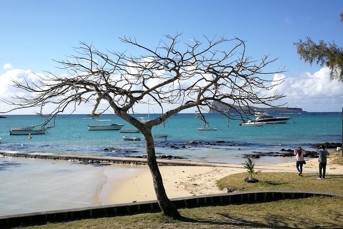 Mauritius Guided North Tour (Private) - Who should book this private north tour?