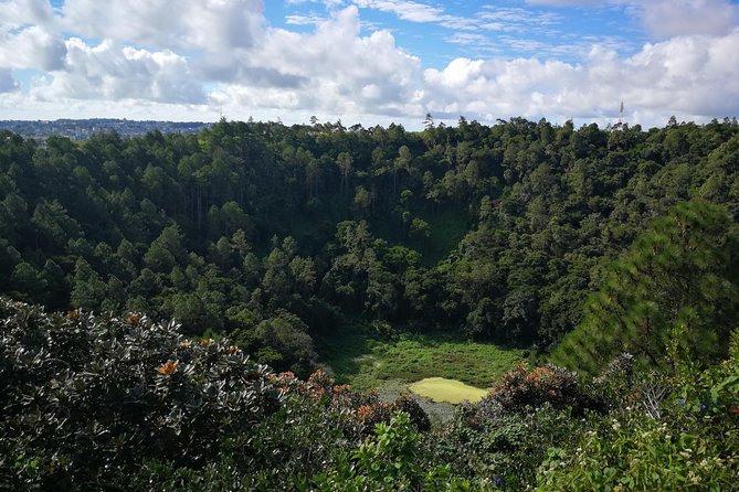Mauritius Guided South Tour (Private) - Trou aux Cerfs, a volcanic crater above Curepipe