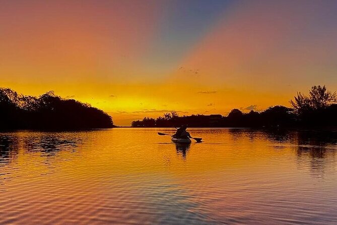 Mauritius: Guided Sunrise Kayak Tour on the Tamarin River - Wildlife, still water, and the value of patience