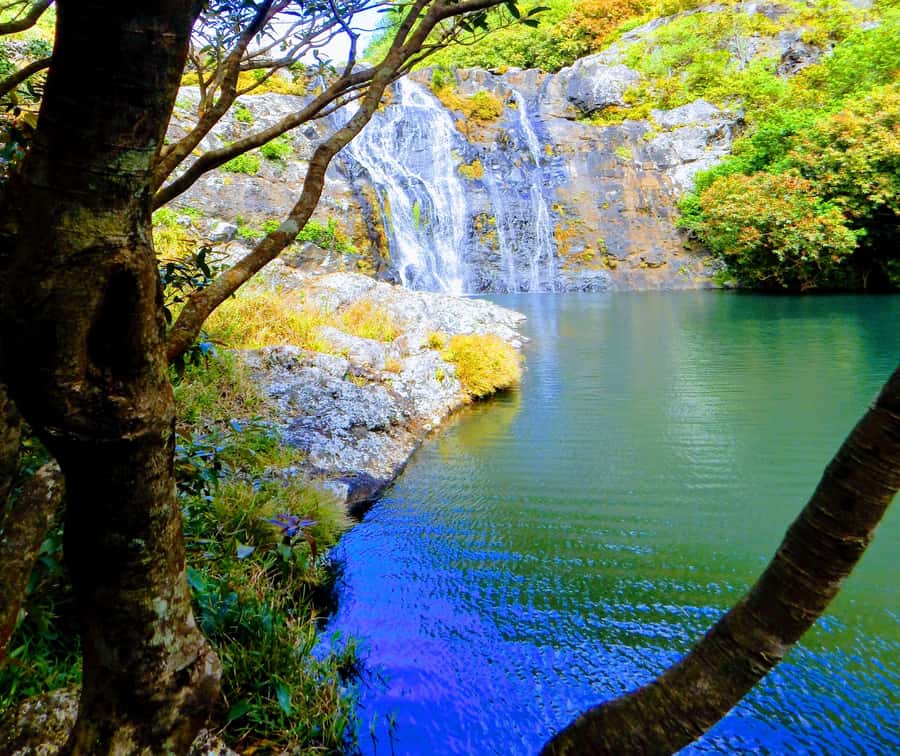Mauritius: Guided Tamarind Falls Hike with Hotel Transfers - Key points to know before you go
