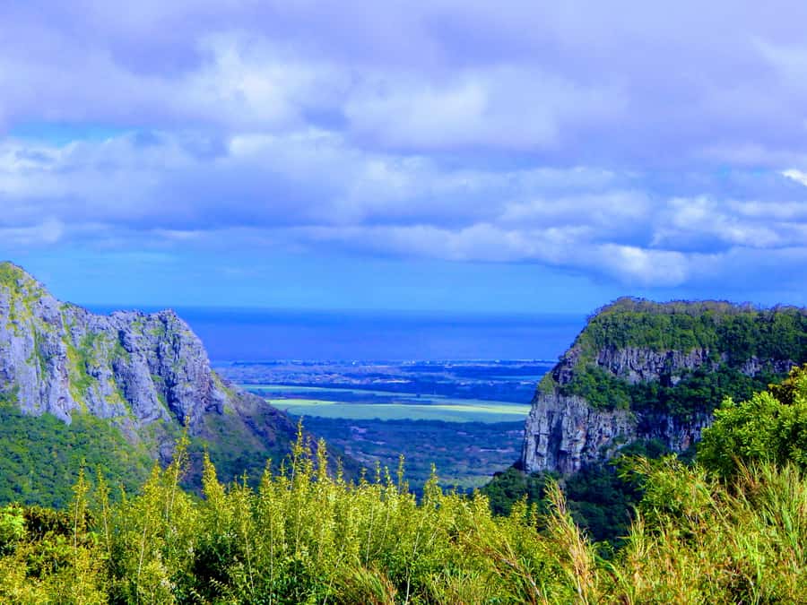 Mauritius: Guided Tamarind Falls Hike with Hotel Transfers - Tamarind Falls brings you into Mauritius’s wild interior