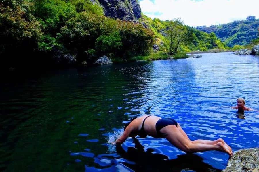 Mauritius: Guided Tamarind Falls Hike with Hotel Transfers - The forest trail is short but not always easy