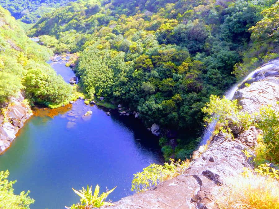 Mauritius: Guided Tamarind Falls Hike with Hotel Transfers - An early pickup gets you to the trail at the right time