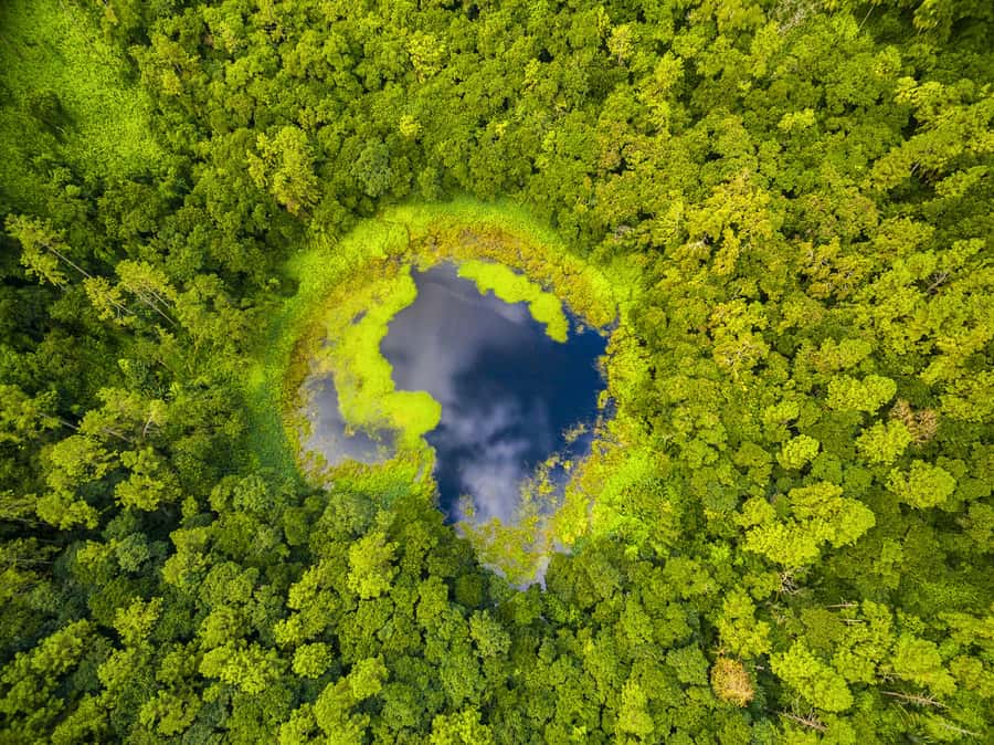Mauritius: Guided Trip to the Southwest with Safari Tour - Alexandra Falls and the Black River scenery
