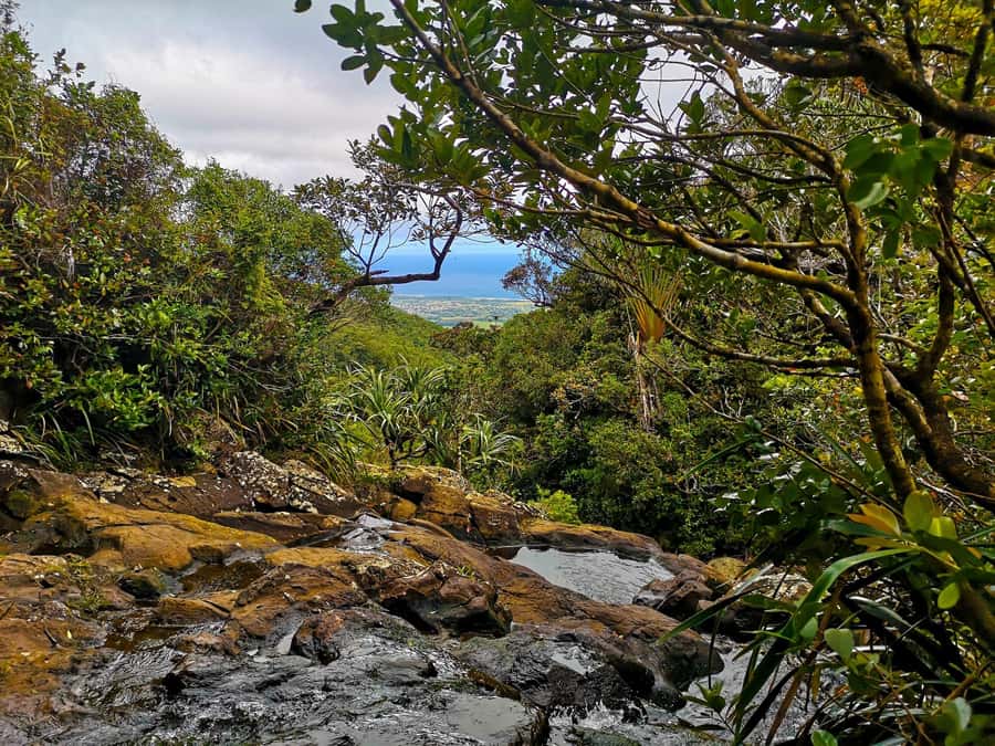 Mauritius: Guided Trip to the Southwest with Safari Tour - Maconde, where the road meets the ocean