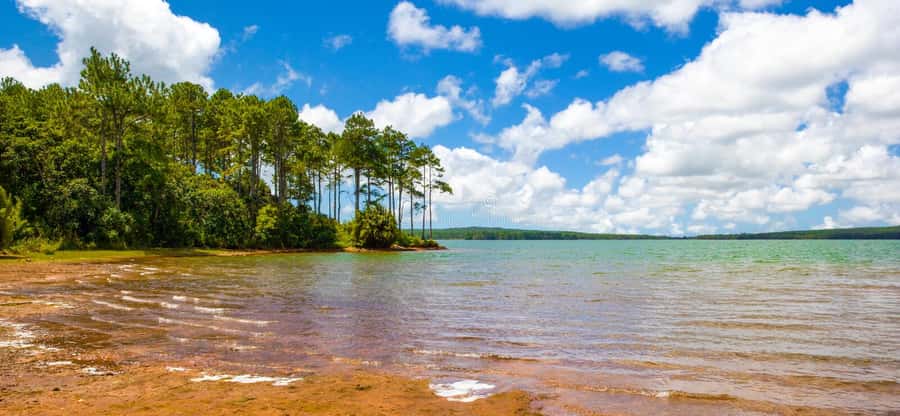 Mauritius: Guided Trip to the Southwest with Safari Tour - Is $125 a fair price?