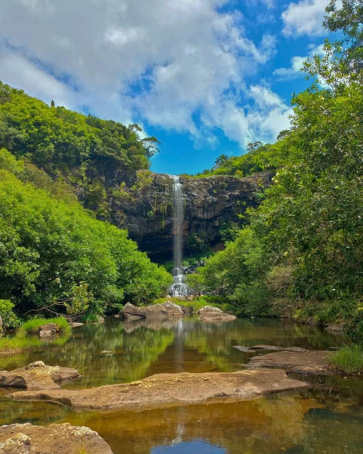 Mauritius Hiking 7 waterfalls Trip with Ganga Talao & Lunch - Private transfers make an eight-hour day practical