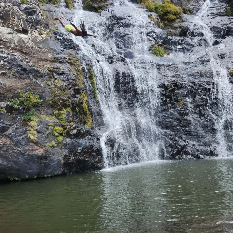 Mauritius Hiking 7 waterfalls Trip with Ganga Talao & Lunch - Fitness, heights, and trail preparation