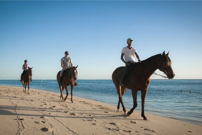 Mauritius Horse Riding at Riambel - Who will enjoy this ride most?