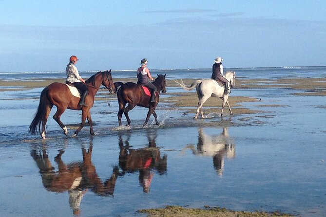 Mauritius Horse Riding at Riambel - Booking, weather, and cancellation details