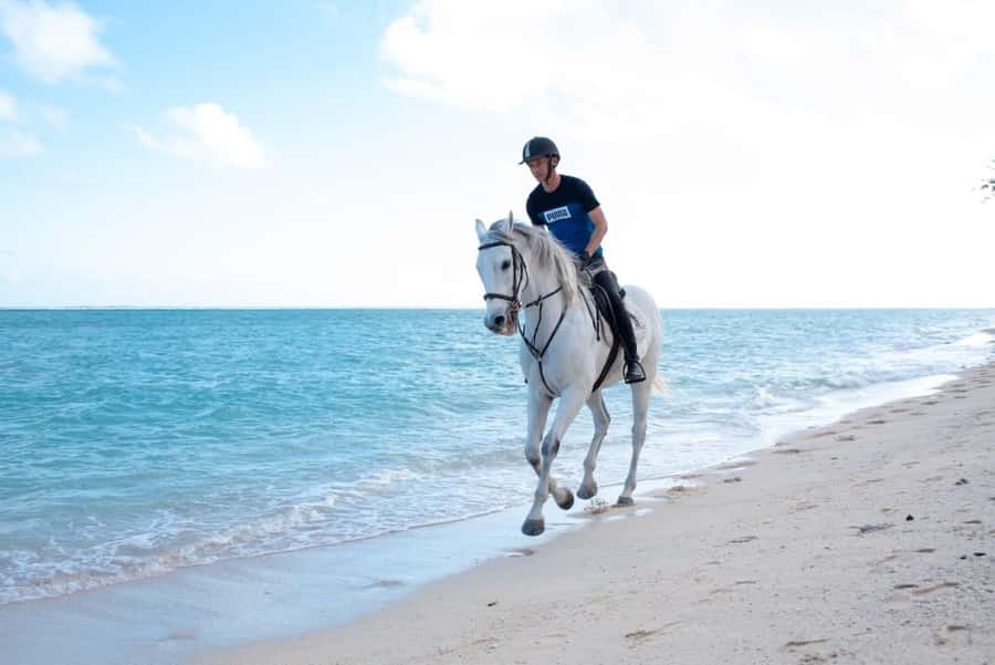 Mauritius: Horse riding on the deserted beach of Riambel - Key points at a glance