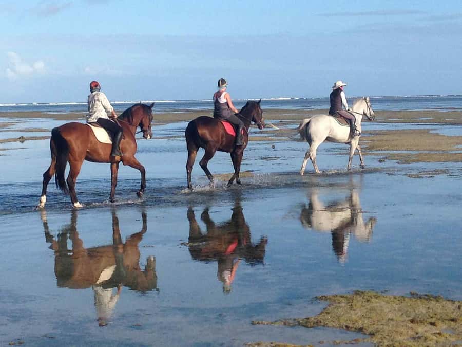 Mauritius: Horse riding on the deserted beach of Riambel - Riding into Mauritius’ quiet south