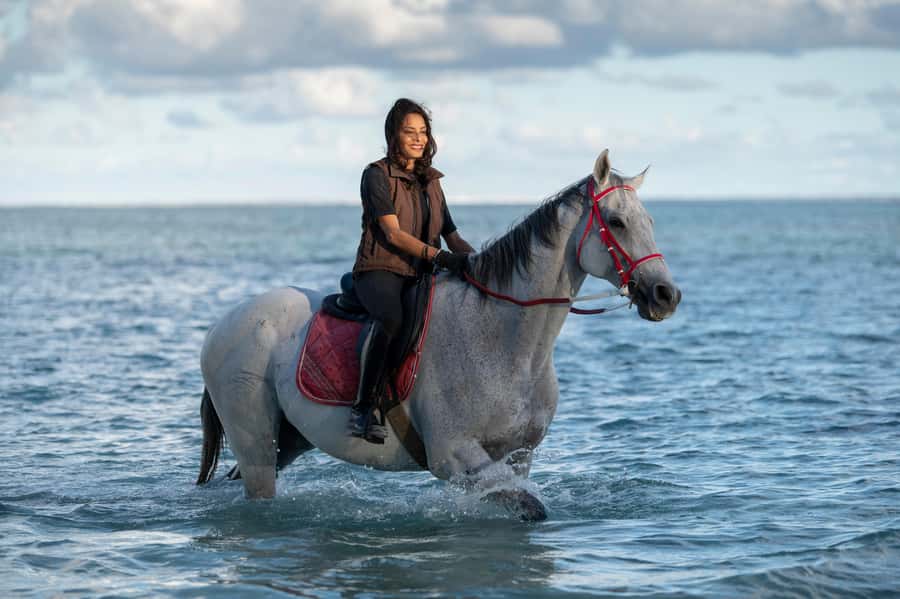 Mauritius: Horse riding on the deserted beach of Riambel - Choosing the right horse and pace