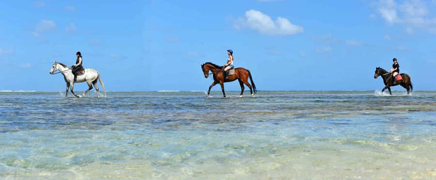 Mauritius: Horse riding on the deserted beach of Riambel - Is $117 a fair price?