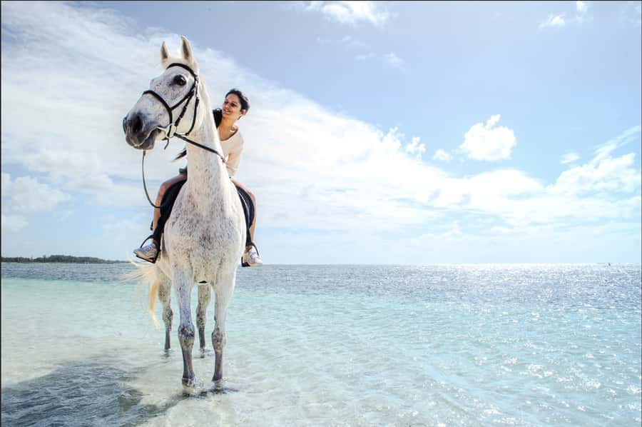 Mauritius: Horseback riding on the beach - Starting at Legasea Stables and the animal sanctuary