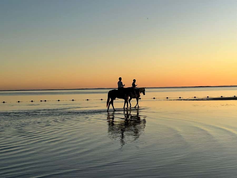 Mauritius: Horseback riding on the beach - What the guide does during the ride