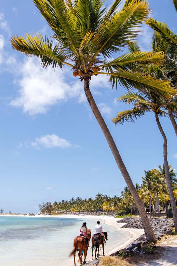 Mauritius: Horseback riding on the beach - Why the gentle pace works for beginners
