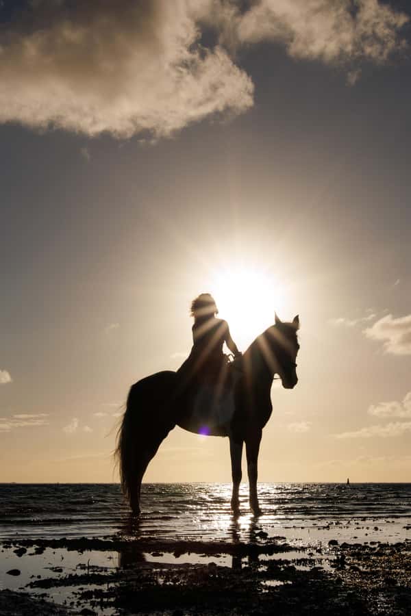 Mauritius: Horseback riding on the beach - What is included for the $110 price