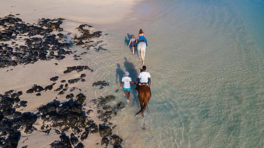 Mauritius: Horseback riding on the beach - Couples, families, and small groups