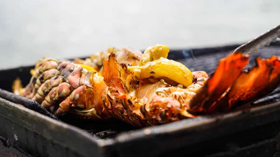 Mauritius: Ile aux Cerfs Boat Tour with BBQ Lunch and Drinks - What the $56 price really covers