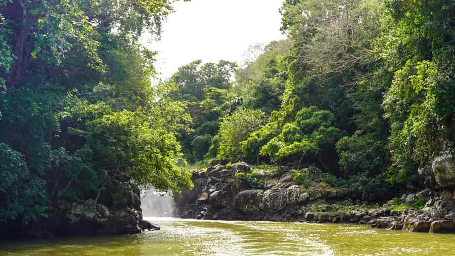 Mauritius: Ile aux Cerfs Boat Tour with BBQ Lunch and Drinks - Who will enjoy this Mauritius boat tour?
