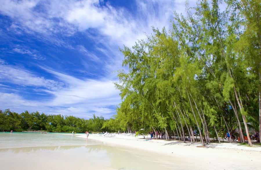 Mauritius: Ile aux Cerfs Boat Tour with BBQ Lunch and Drinks - Grand River South East Waterfall and Cascade Diamamouve