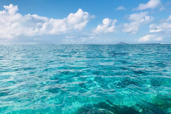 Mauritius: Ile Aux Cerfs Catamaran Tour with Lunch and Drinks - Leaving Trou d’Eau Douce at 9:00 a.m.