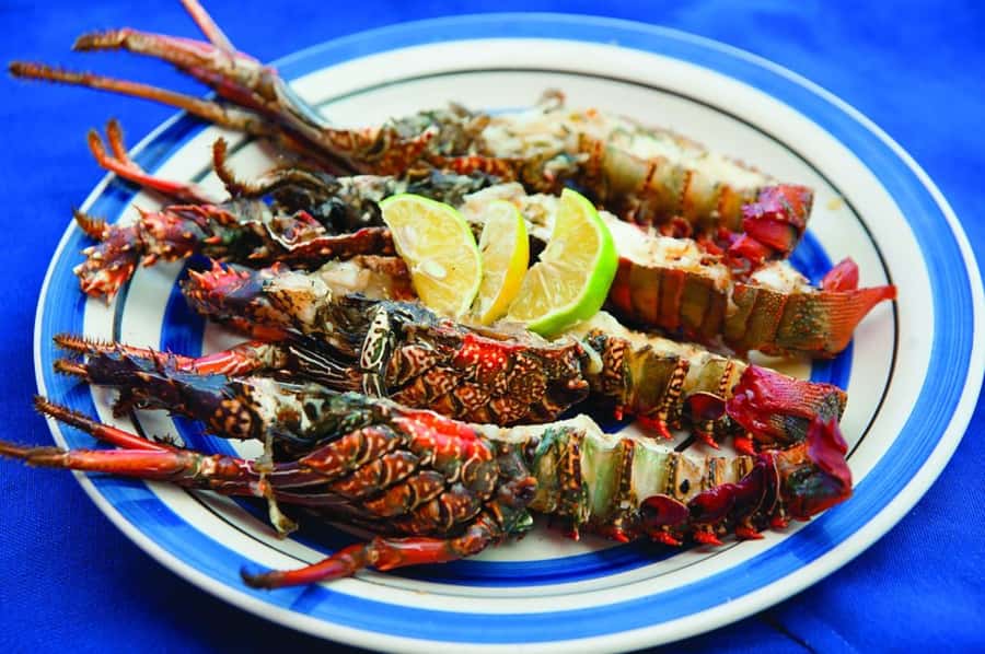 Mauritius: Ile Aux Cerfs Catamaran Trip w/ Lunch & Transfer - From your hotel to Trou d’Eau Douce