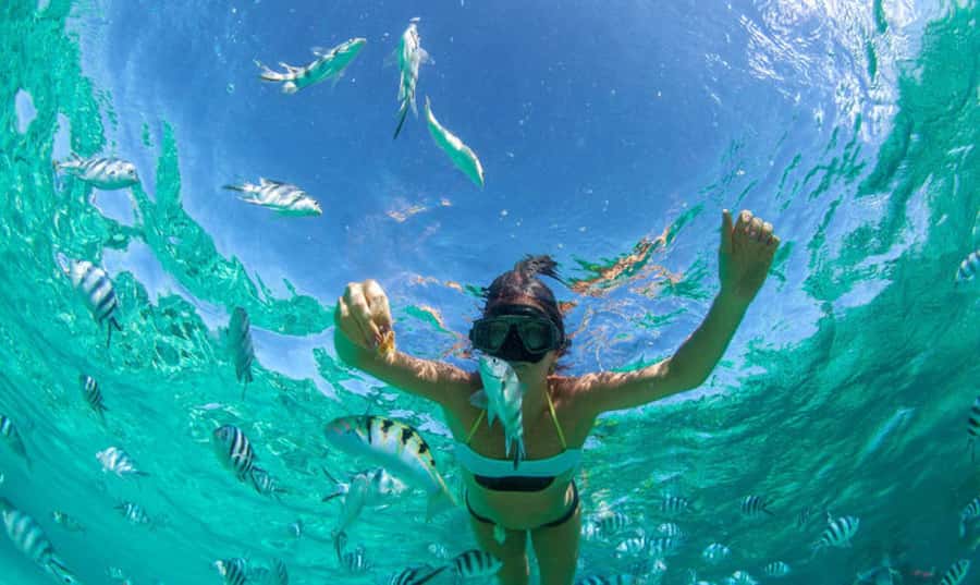 Mauritius: Ile Aux Cerfs Catamaran Trip w/ Lunch & Transfer - Who should book this catamaran day