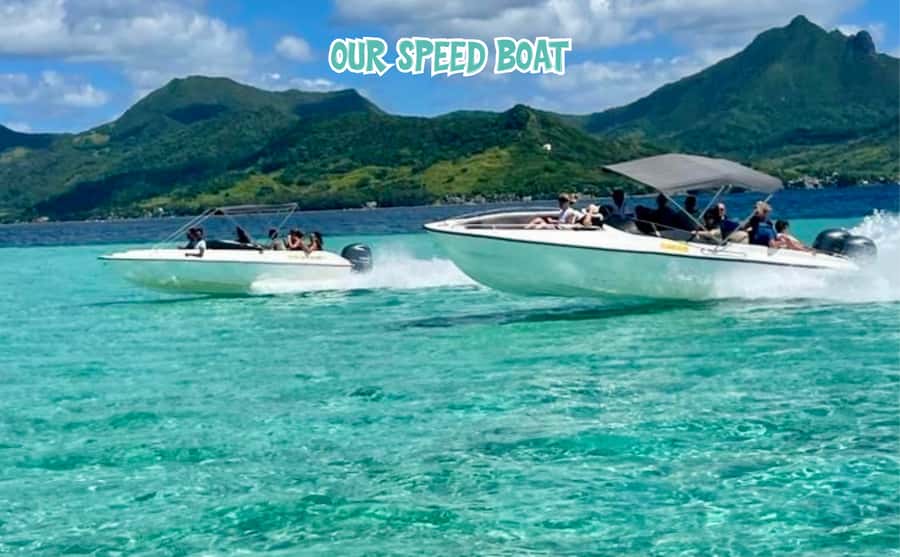 Mauritius: Ile aux Cerfs Speedboat Tour with Lunch & Drinks - A close look at Mauritius’ mangrove coast