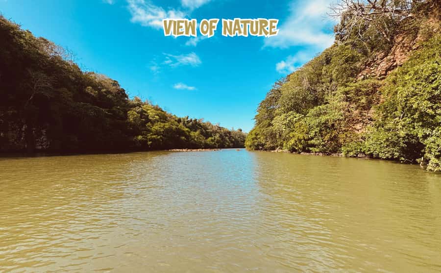 Mauritius: Ile aux Cerfs Speedboat Tour with Lunch & Drinks - What the $65 price really buys