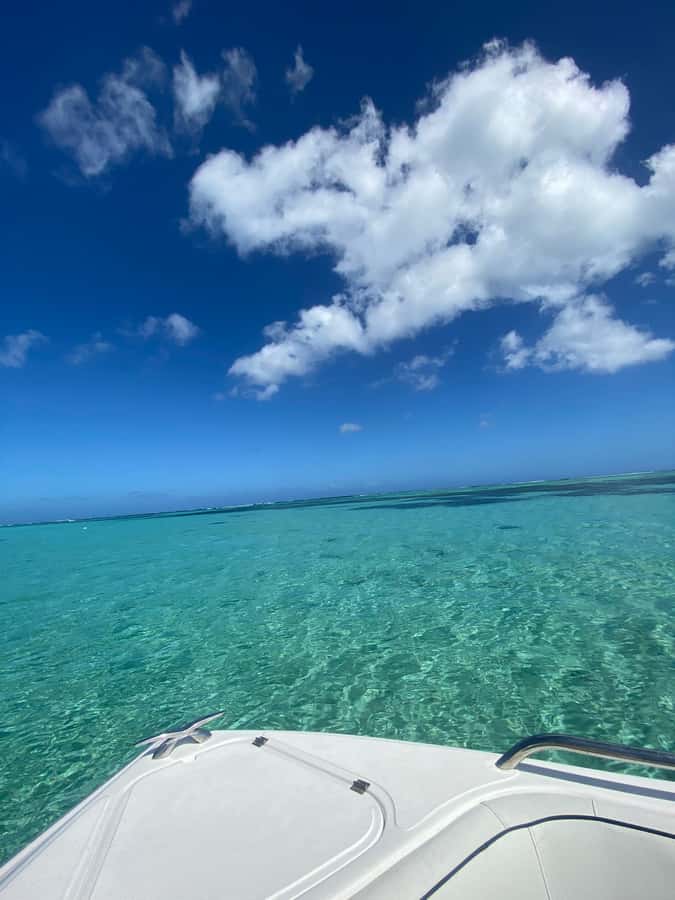 Mauritius Le Morne: Eco-Friendly Dolphin Watching Tour - Setting out from Le Morne in the early morning