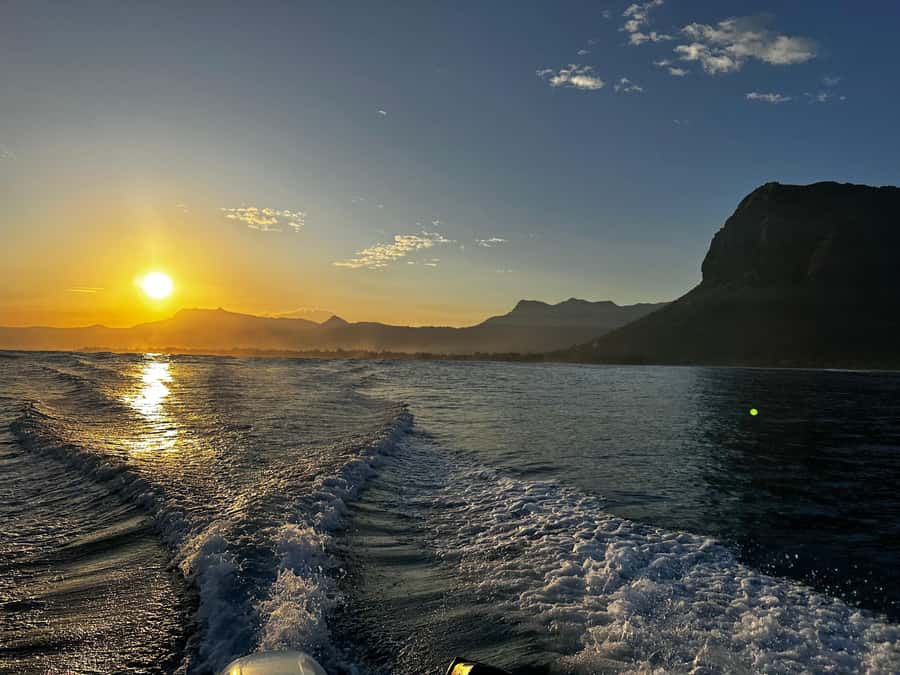 Mauritius Le Morne: Eco-Friendly Dolphin Watching Tour - Why the private format changes the value