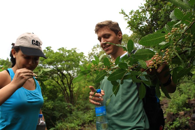 Mauritius Le Morne Hiking including transfer - History and local knowledge along the route
