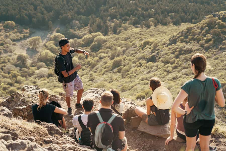 Mauritius: Le Morne Mountain Guided Sunrise Hike and Climb - Through rainforest, birds, and native plants