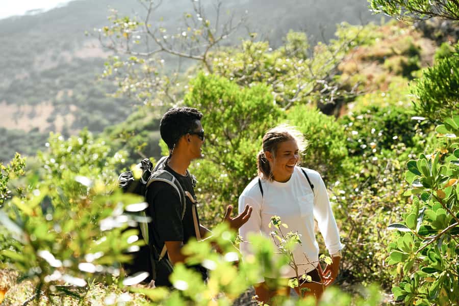 Mauritius: Le Morne Mountain Guided Sunrise Hike and Climb - The Trochetia Boutoniona viewpoint