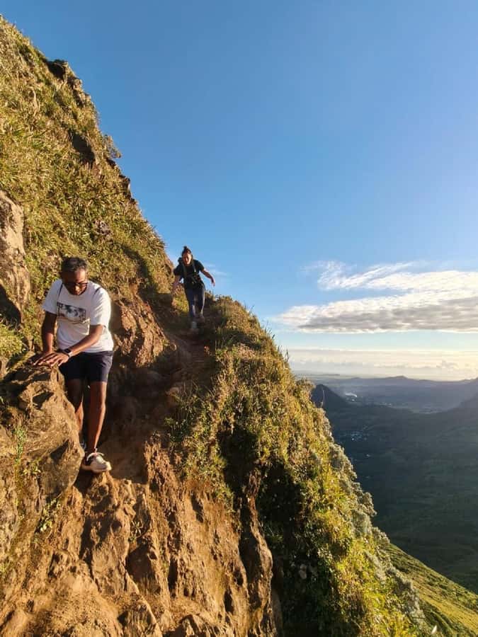 Mauritius: Le Pouce Guided Hiking Experience with a local - A steady climb through native plants and mountain air