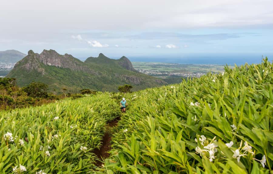 Mauritius: Le Pouce Guided Hiking Experience with a local - The final stretch is where conditions matter most