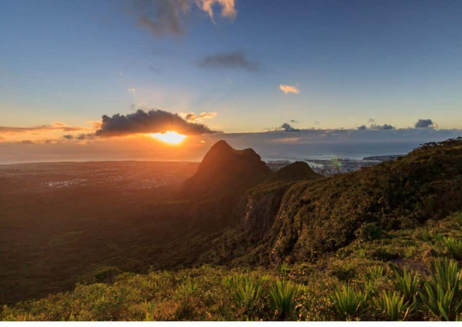Mauritius: Le Pouce Guided Hiking Experience with a local - Who should choose this hike?