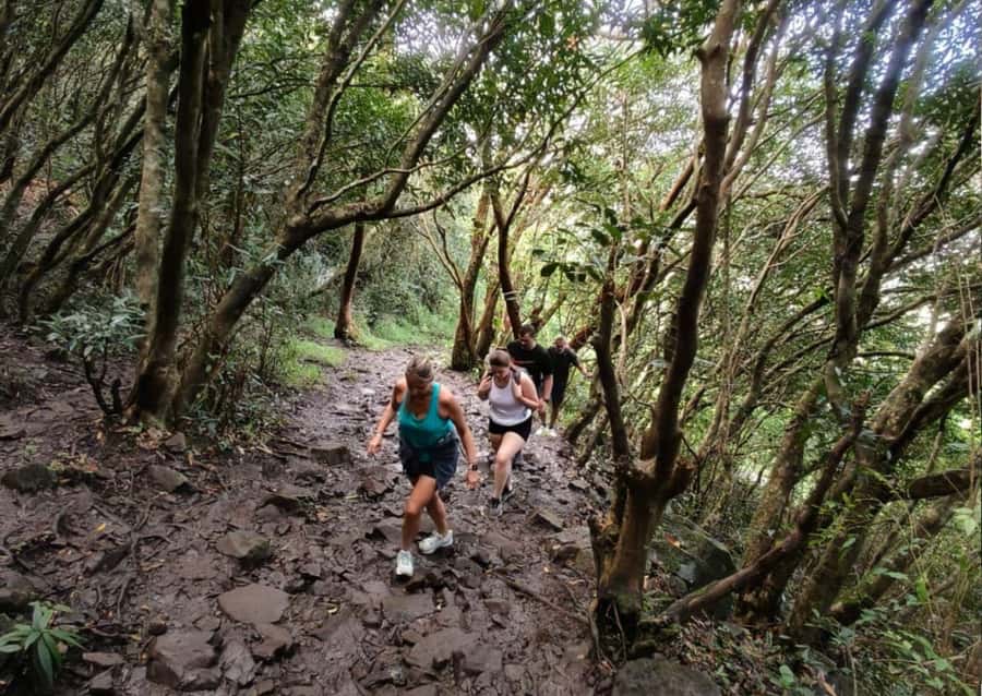 Mauritius: Le Pouce Guided Hiking Experience with a local - Beginning in Moka, where the walk has a sense of place
