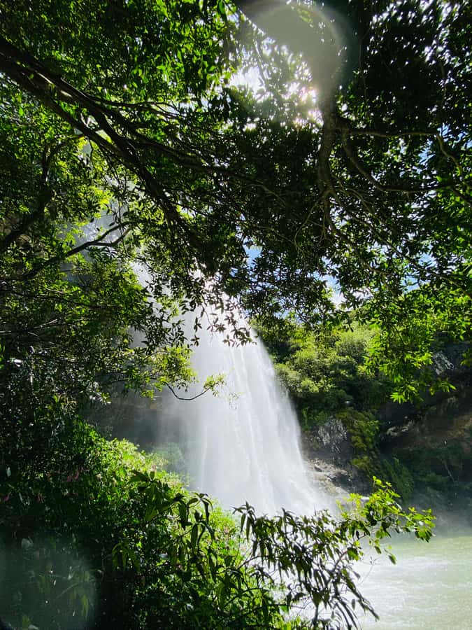 Mauritius Natirel : 7 cascades valley waterfall discovery - What the three hours feel like