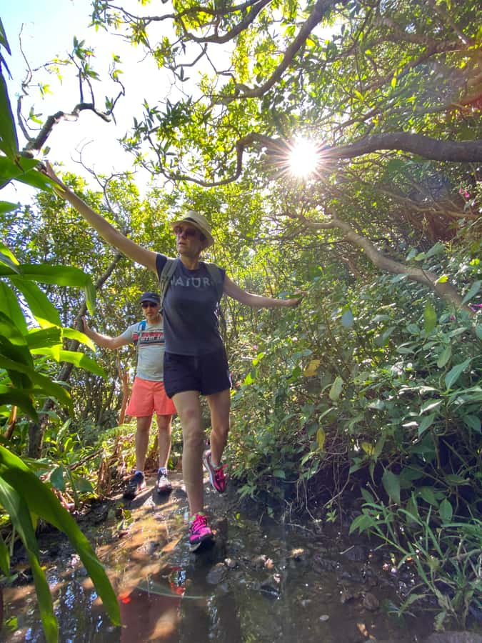 Mauritius Natirel : 7 cascades valley waterfall discovery - Weather can change the whole outing