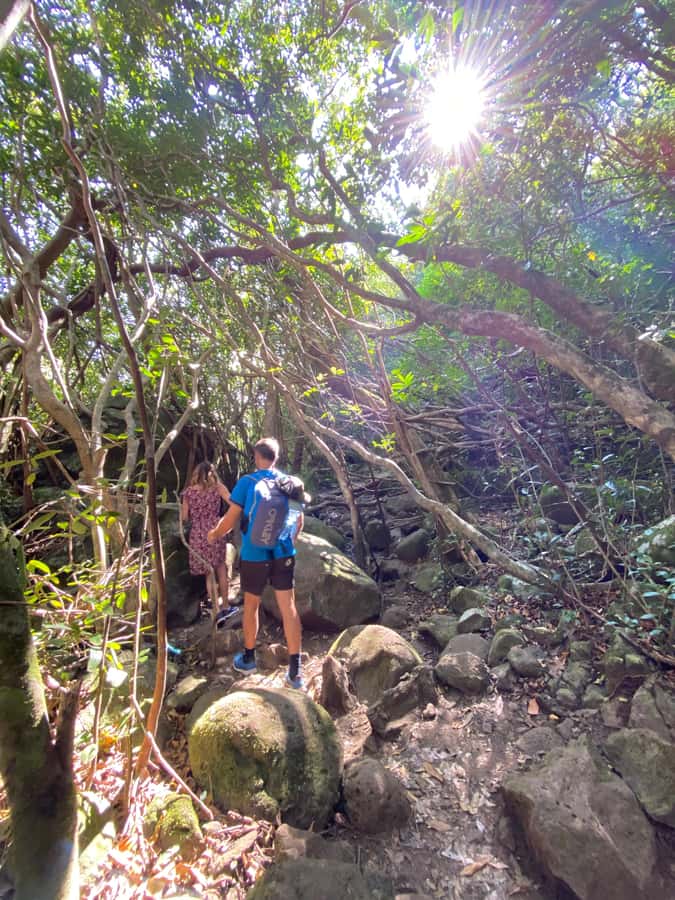 Mauritius Natirel : 7 cascades valley waterfall discovery - Who should book this waterfall adventure