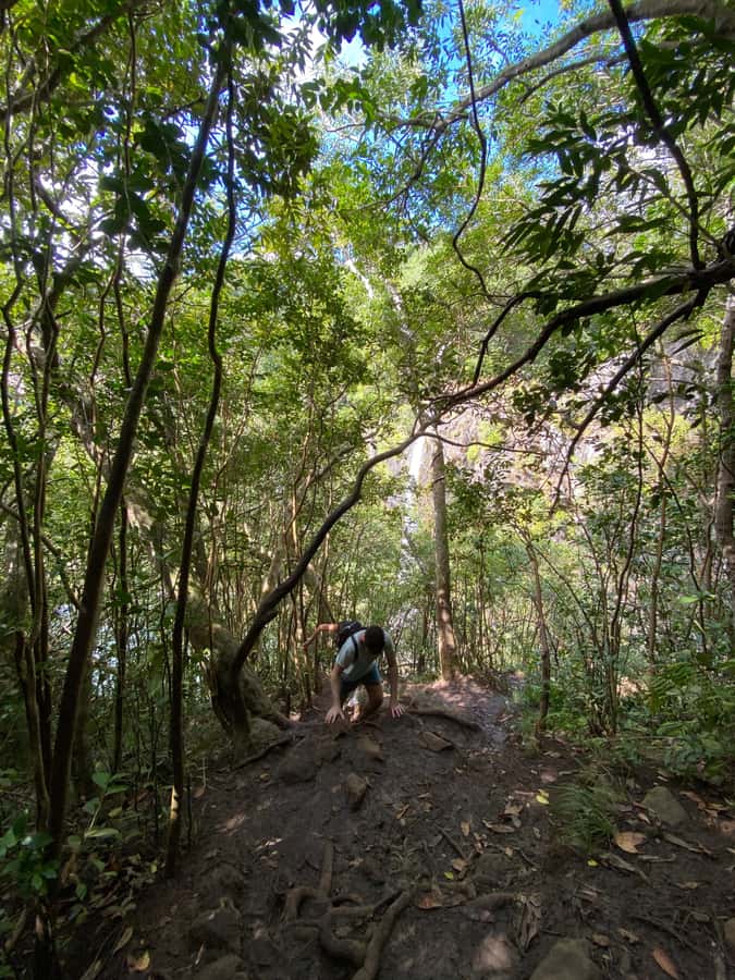 Mauritius Natirel : 7 cascades valley waterfall discovery - Practical value at $44 per person