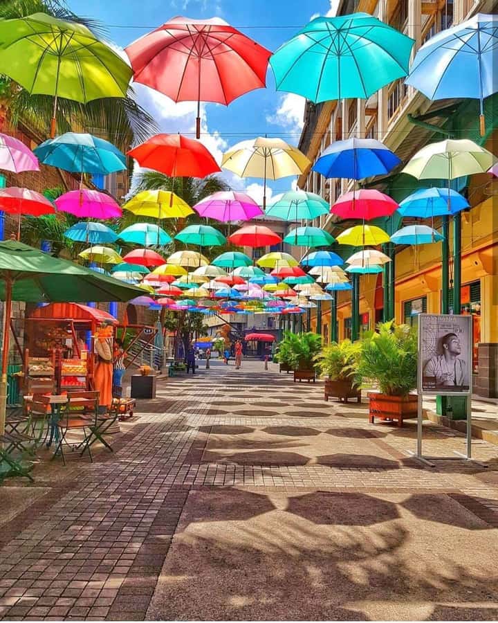 Mauritius North: Private Paradise Tour with Gardens, Markets - Why this northern Mauritius route works