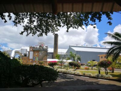 Mauritius North: Private Paradise Tour with Gardens, Markets