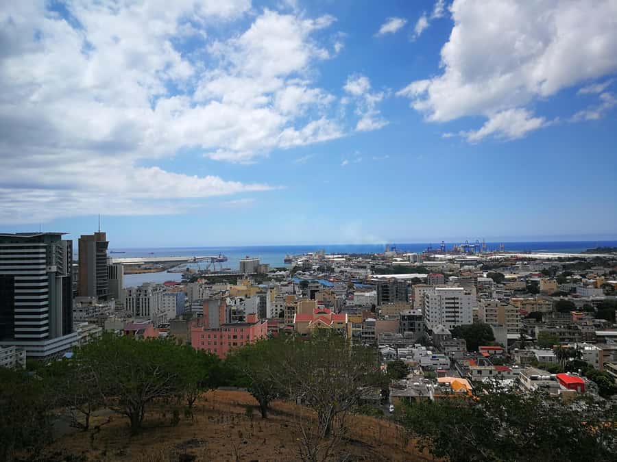 Mauritius North: Private Paradise Tour with Gardens, Markets - Pamplemousses Botanical Garden and giant water lilies