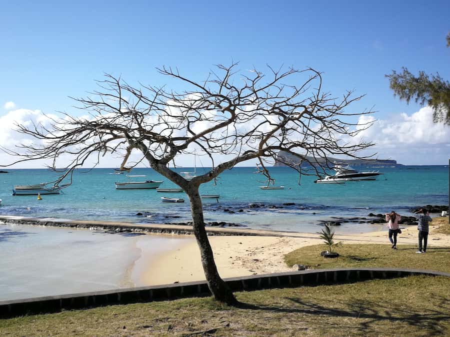 Mauritius North: Private Paradise Tour with Gardens, Markets - Is $129 good value for four people?
