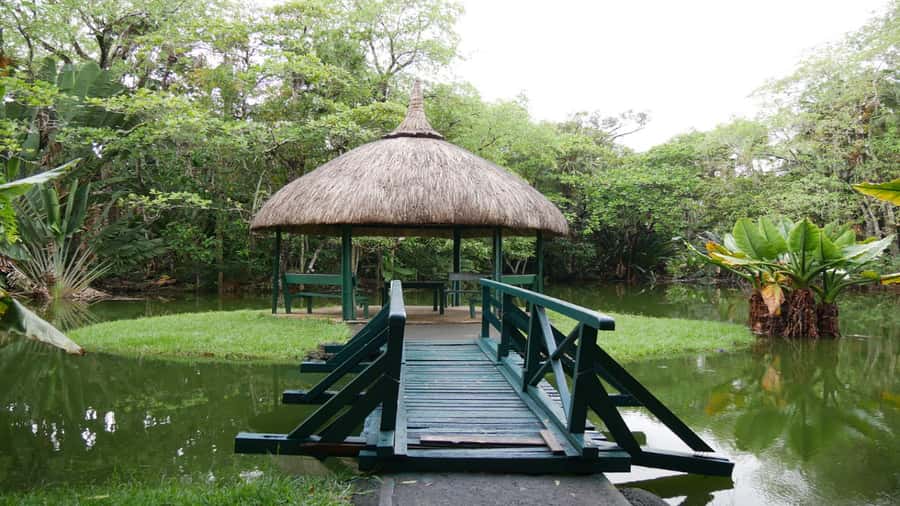 Mauritius: Northern Tour w/Port Louis Market, Temple & Beach - Sugar, rum, and Mauritius’s plantation story