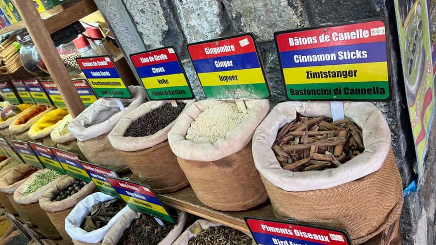 Mauritius: Northern Tour w/Port Louis Market, Temple & Beach - Port Louis market, Caudan, and Fort Adelaide